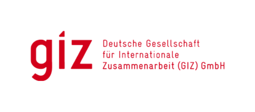 GIZ logo